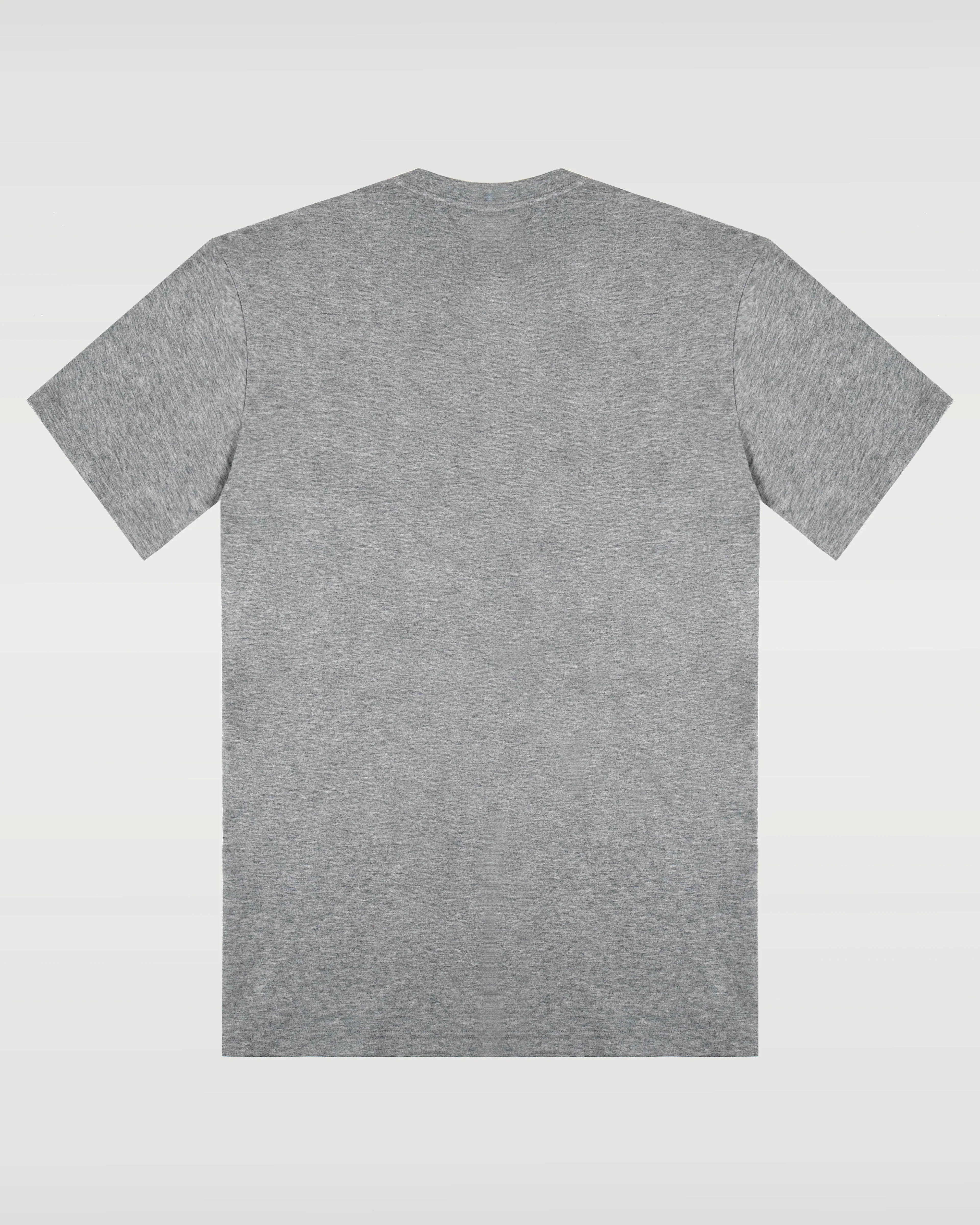 Unisex Cotton Tee Regular Fit